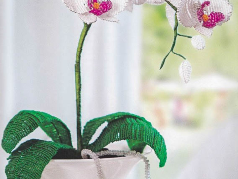 Как используя бисер сделать цветы орхидеи