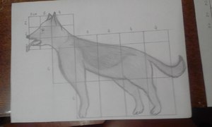 Собака - рисование по квадратам