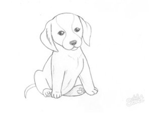 Как нарисовать собаку карандашом поэтапно для детей
