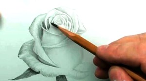 Как нарисовать розы