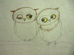 Как карандашом нарисовать сову