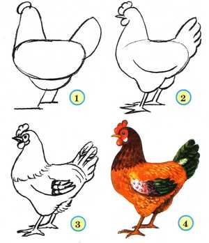 Рисуем курицу