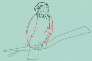 Как легко и красиво нарисовать орла - пошаговая инструкция