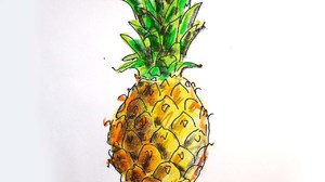 Как нарисовать ананас карандашом