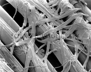Вискозное волокно в ткани